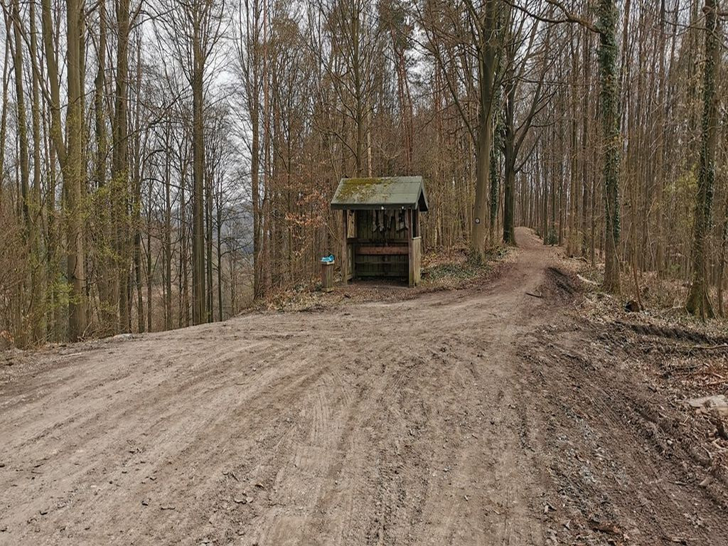 Basic shelter