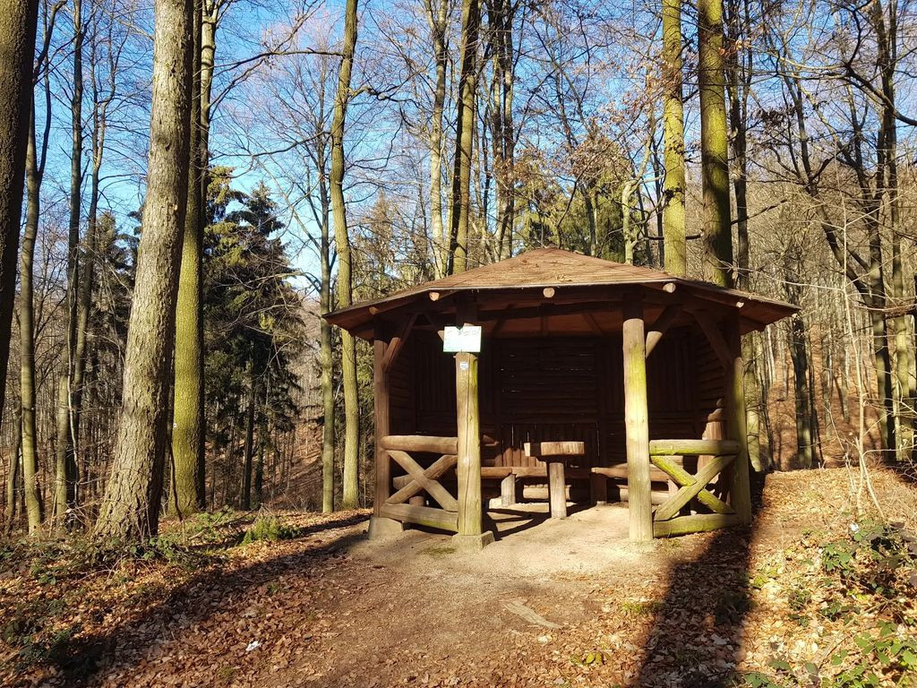 64646 - Pavillon Arnoldseiche