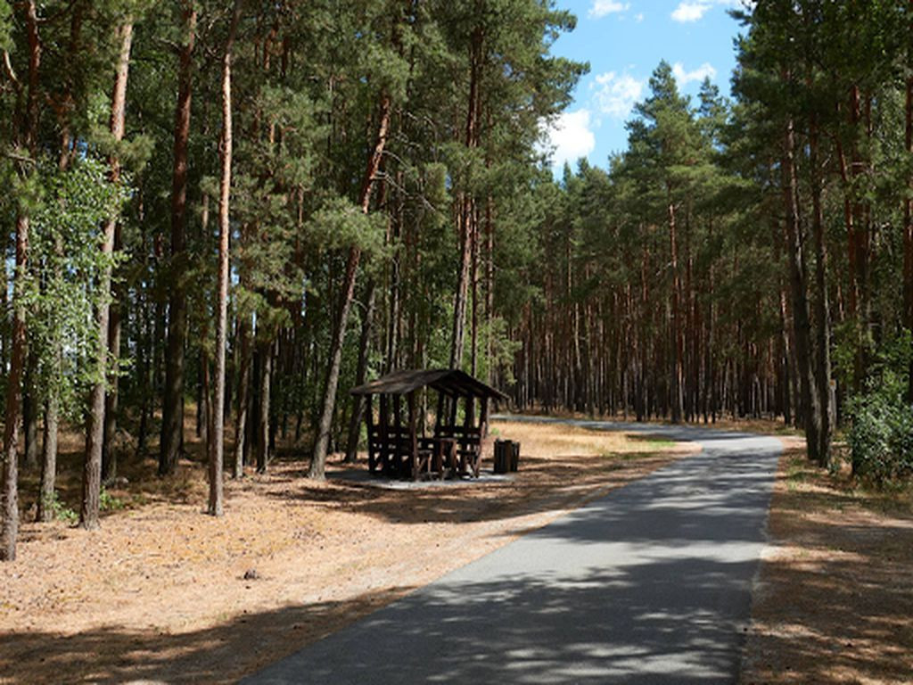 Picnic Table