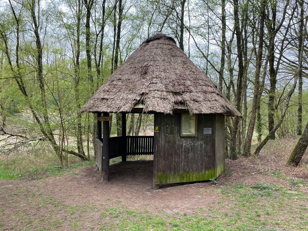 Pavilion
