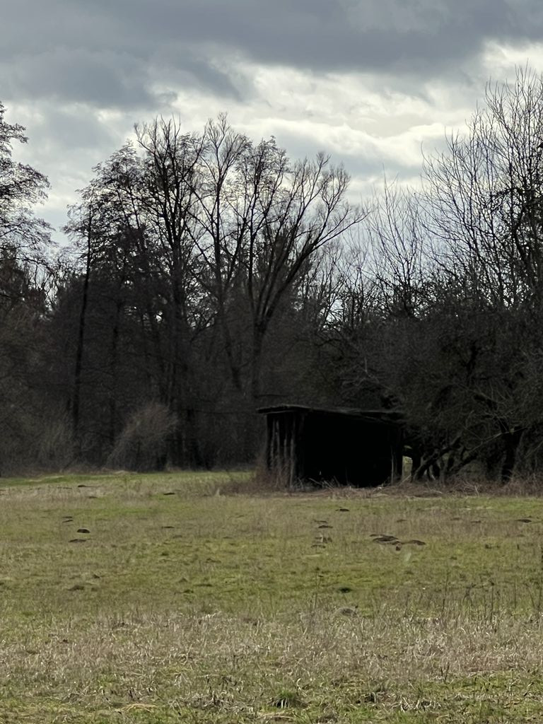 Shelter near Waldstraße