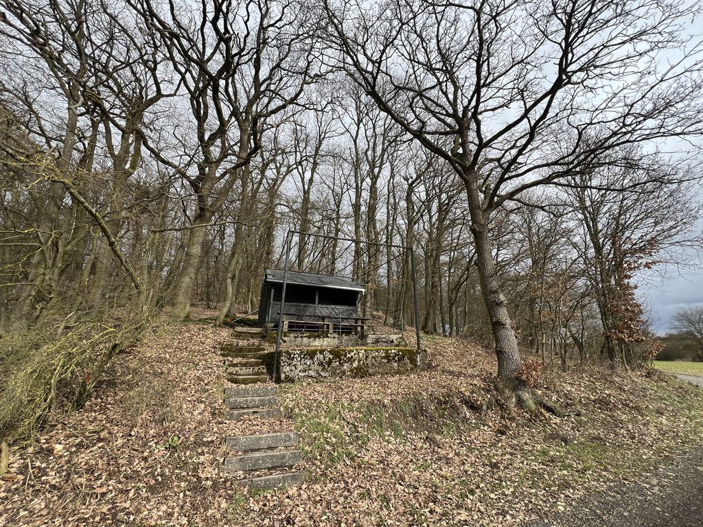Lunch shelter near Waldstraße