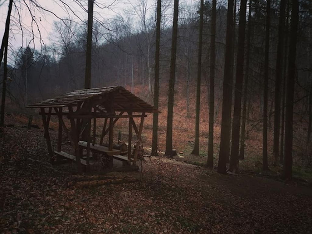Basic Shelter "Walsbachquelle"