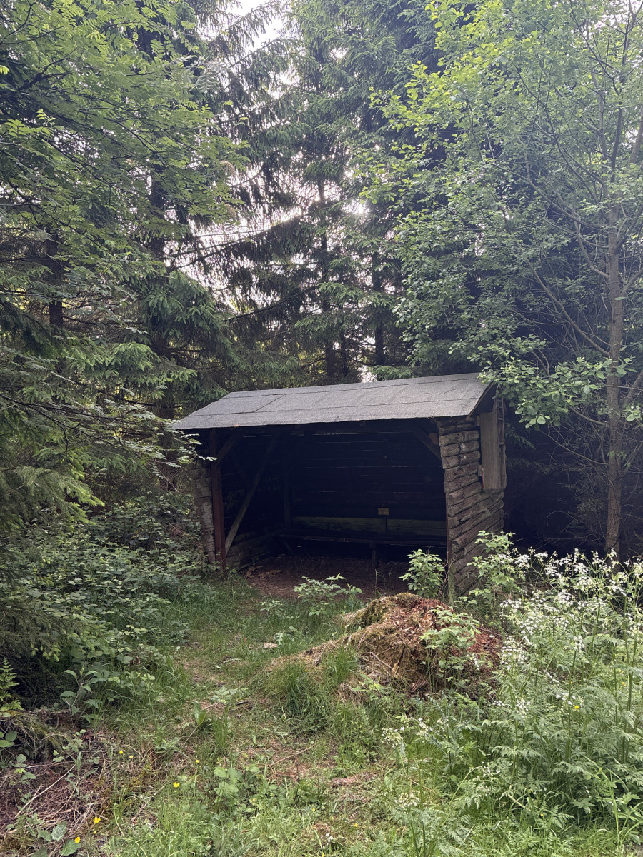 Shelter near Holzstraße