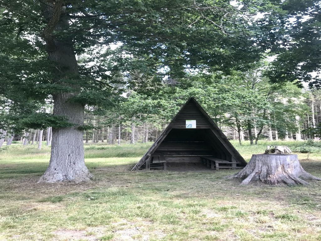 99768 - Schutzhütte