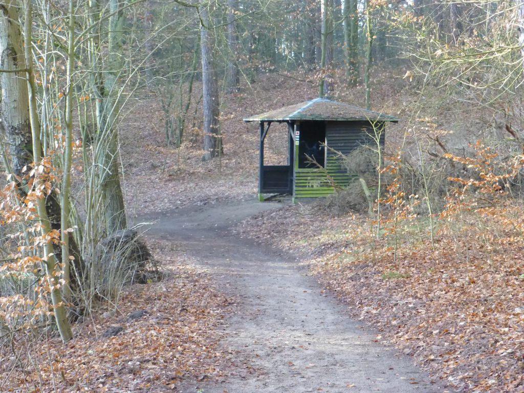 lean-to