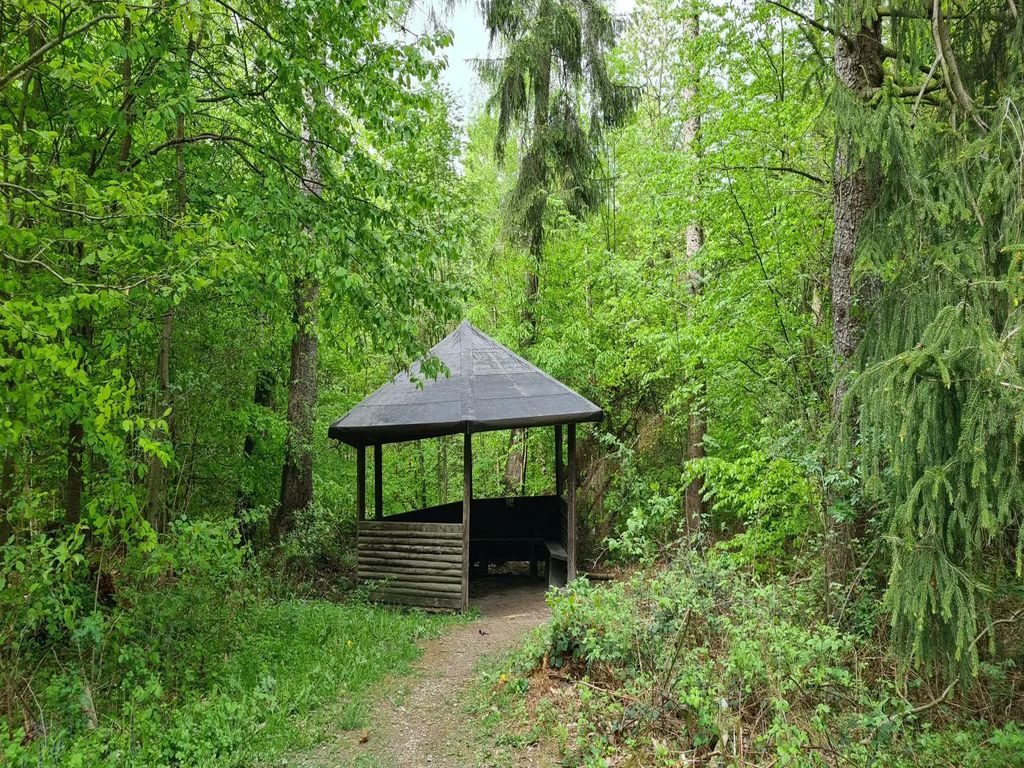 38346 - Pavillon