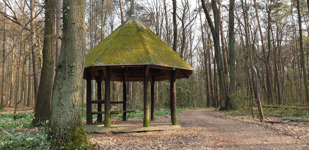 Basic shelter Kottenforst