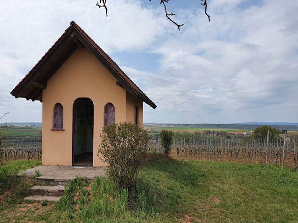 Lean-To "Weinberghäuschen"
