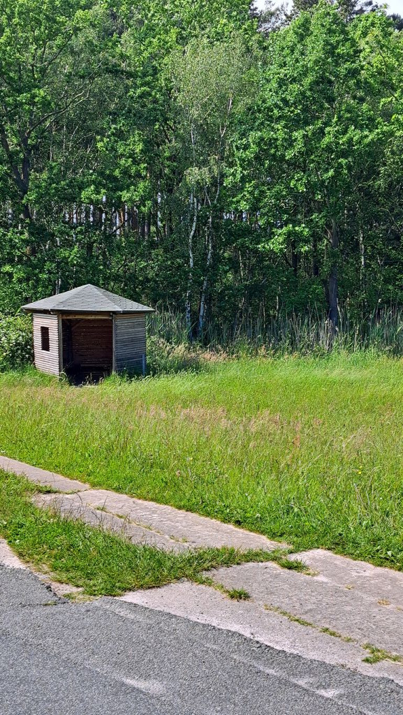 Wildernesshut