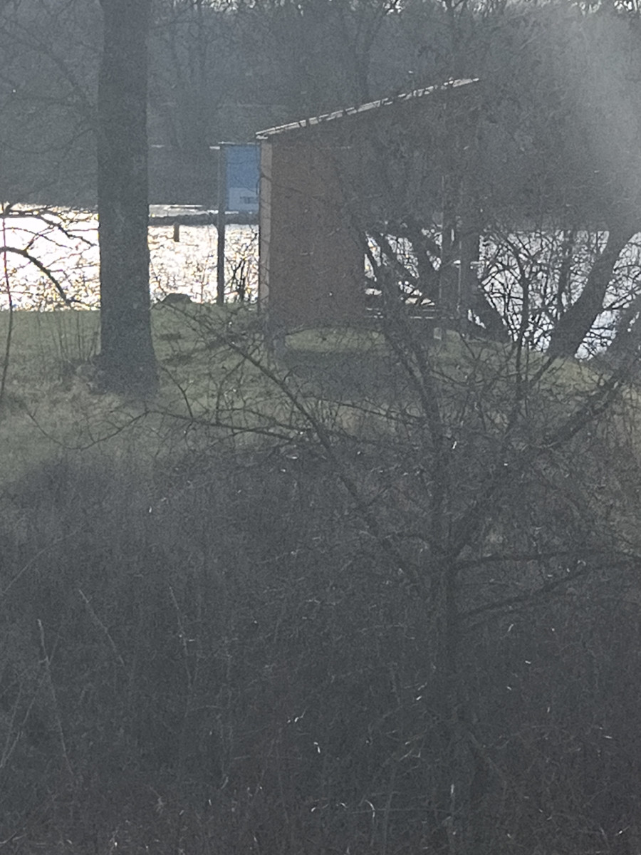 Cabin near SR 12