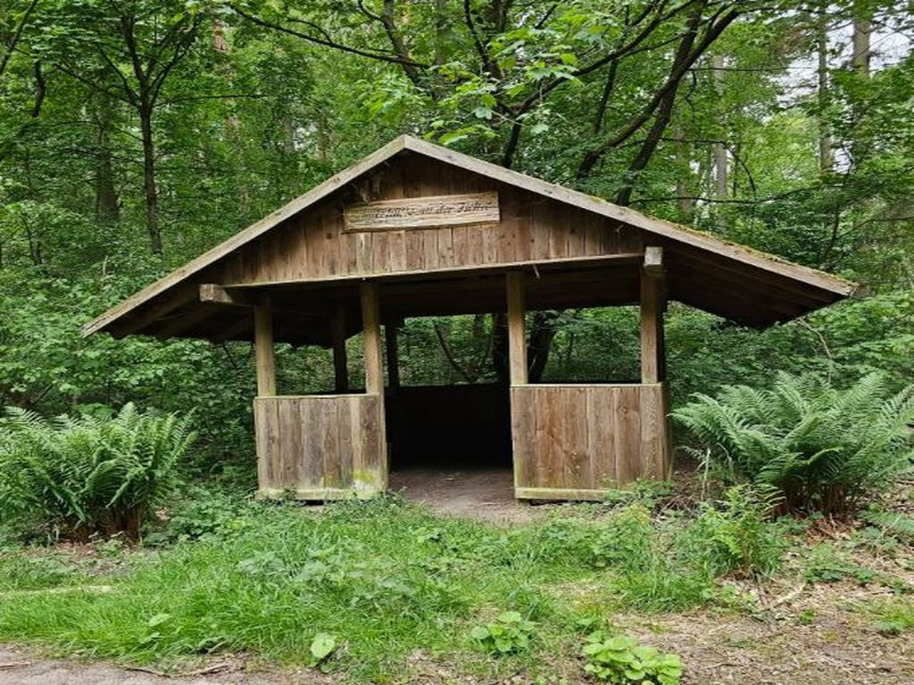 Hütte an der Fichte