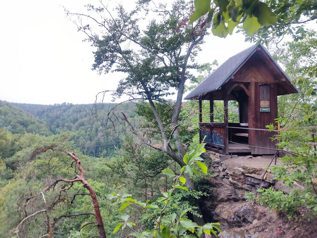 Waldblick