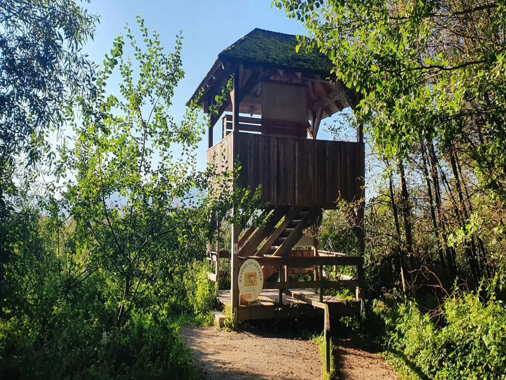 Watchtower Ganszipfel