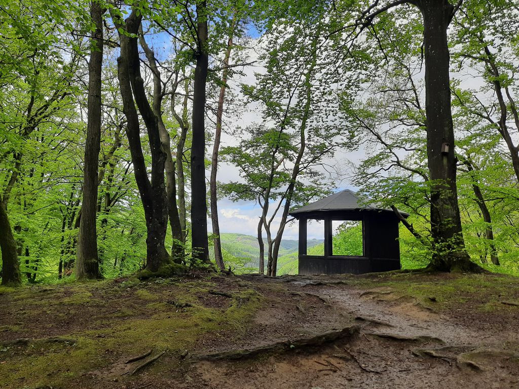Basic shelter