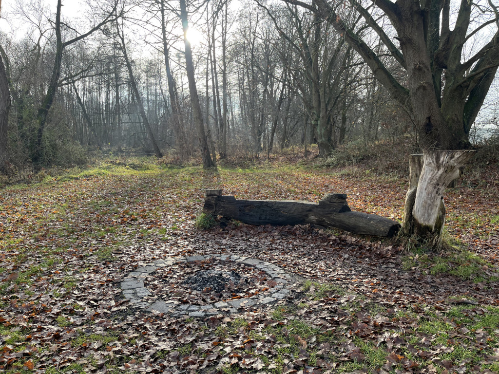 Campsite and fire pit