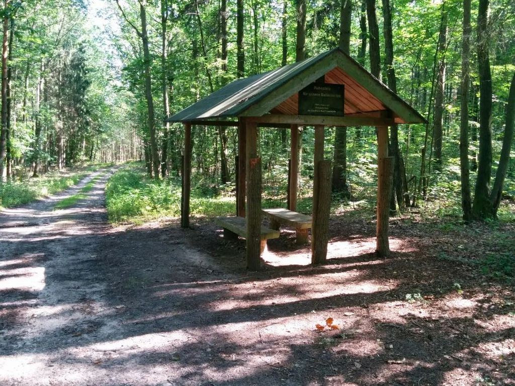 Hütte an der Waldhöhe