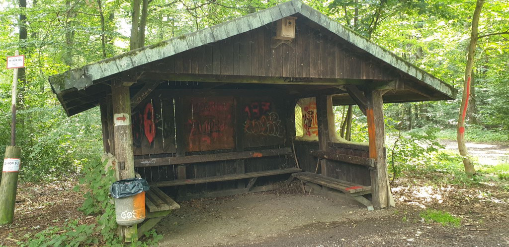 Basic shelter