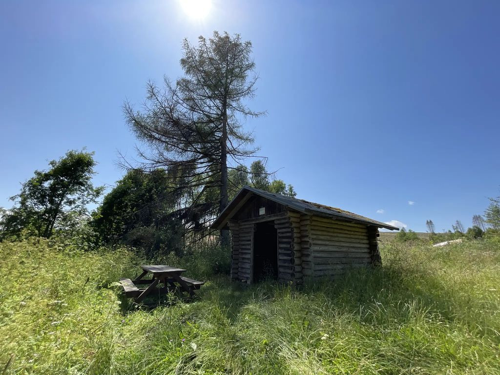 38899 - Schutzhütte