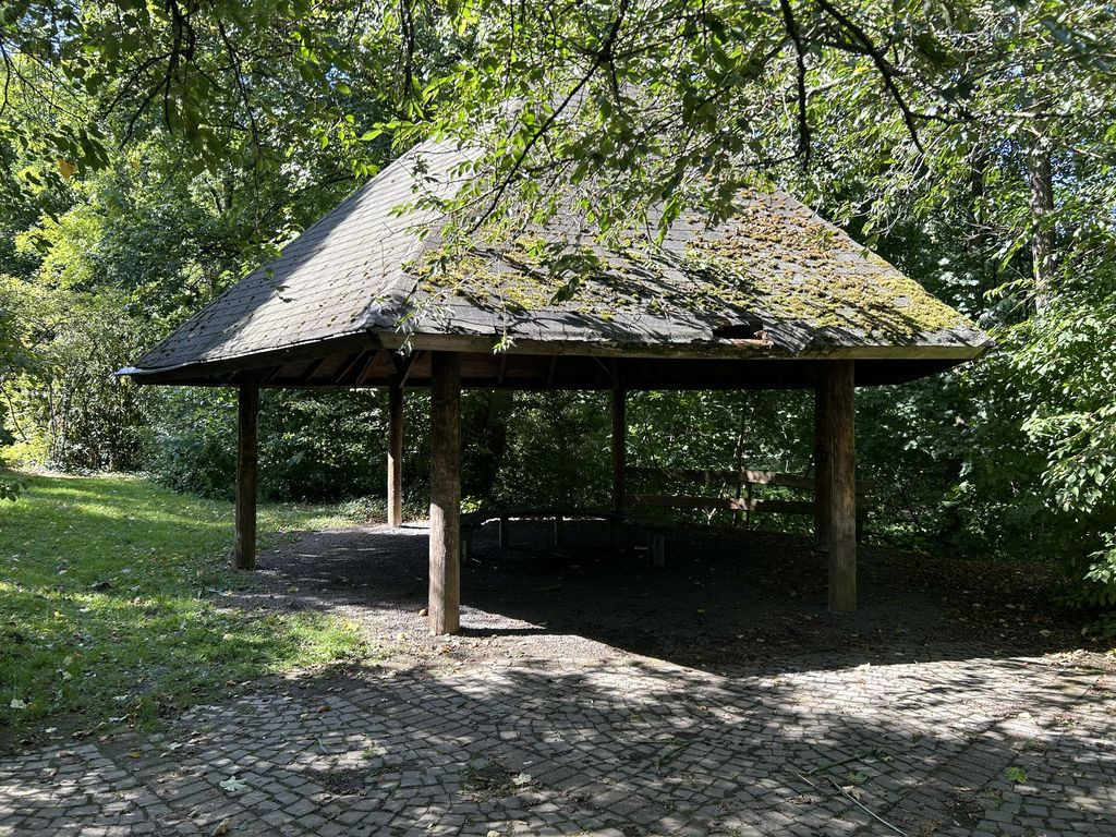 Wetterpilz im Park