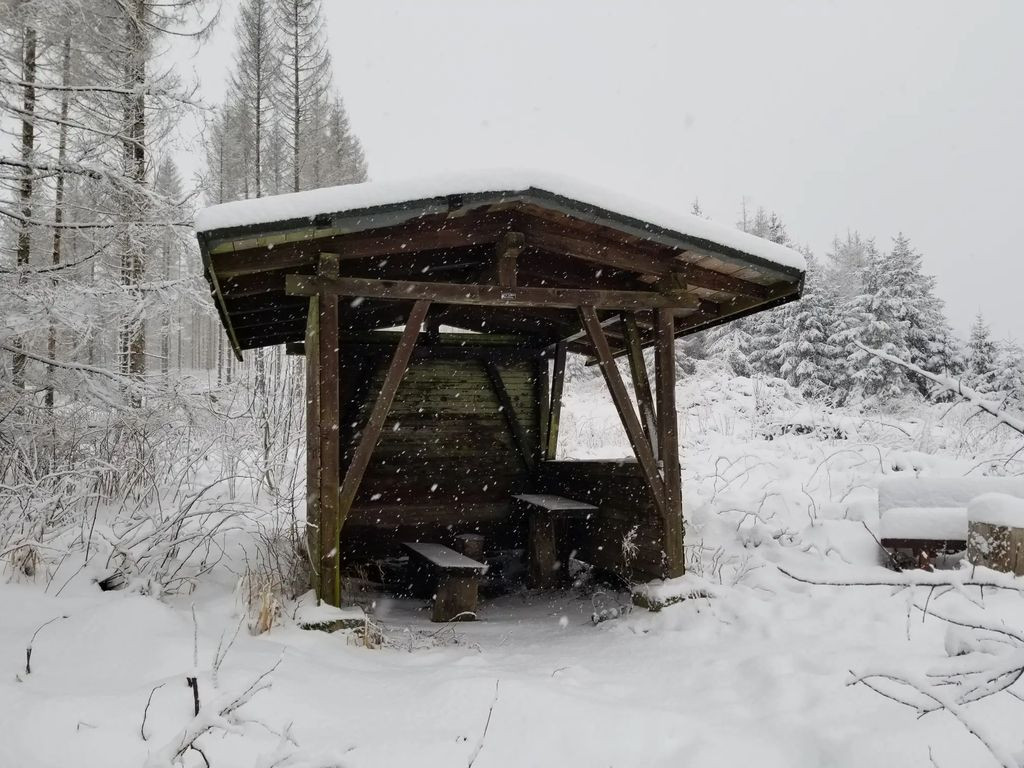 37447 - Schutzhütte Schadensbeerköpfe