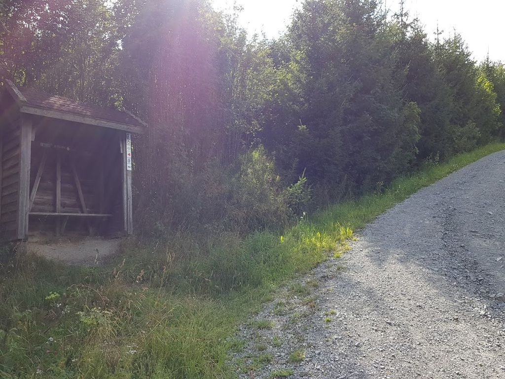 Lean to shelter
