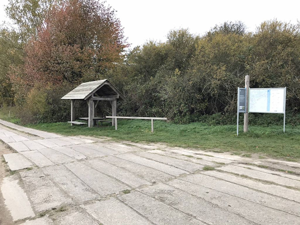 basic shelter
