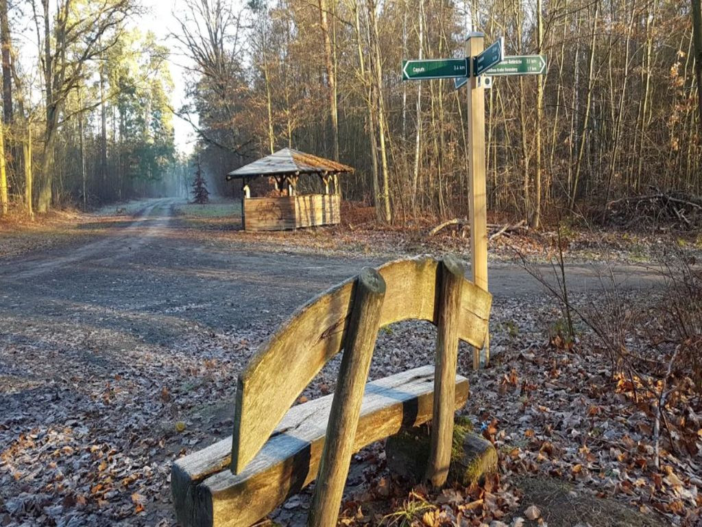 1447- Waldschutzhütte