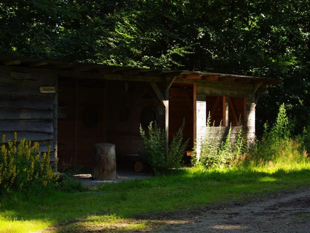 Waldlehrpfad