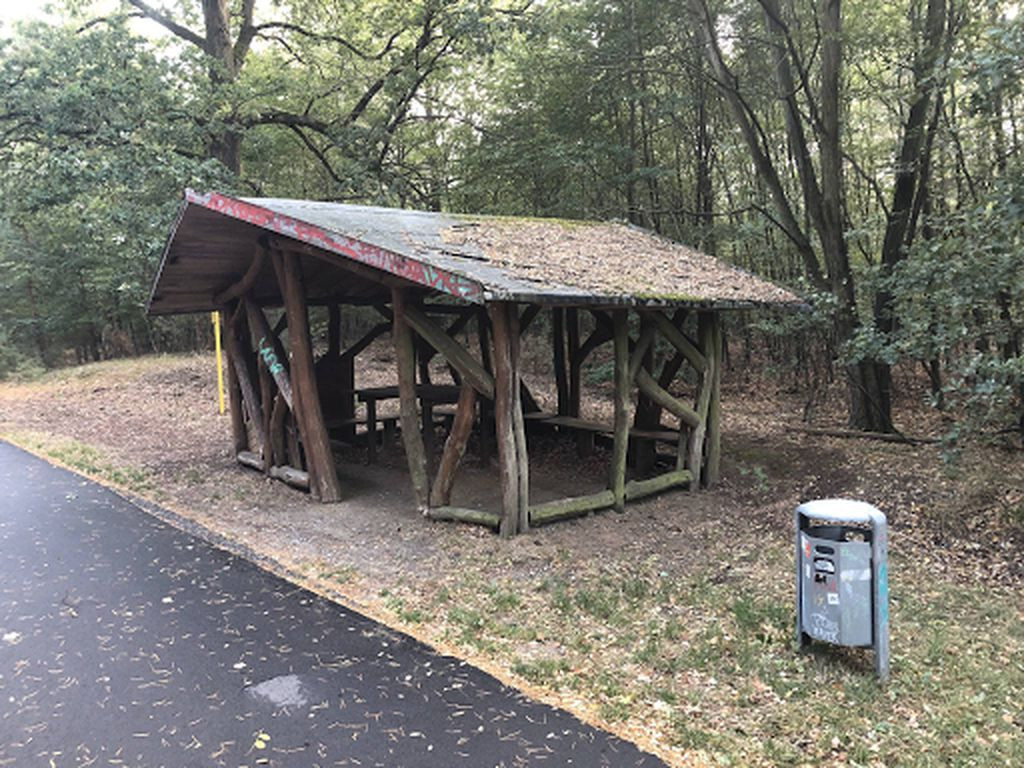 Basic Shelter