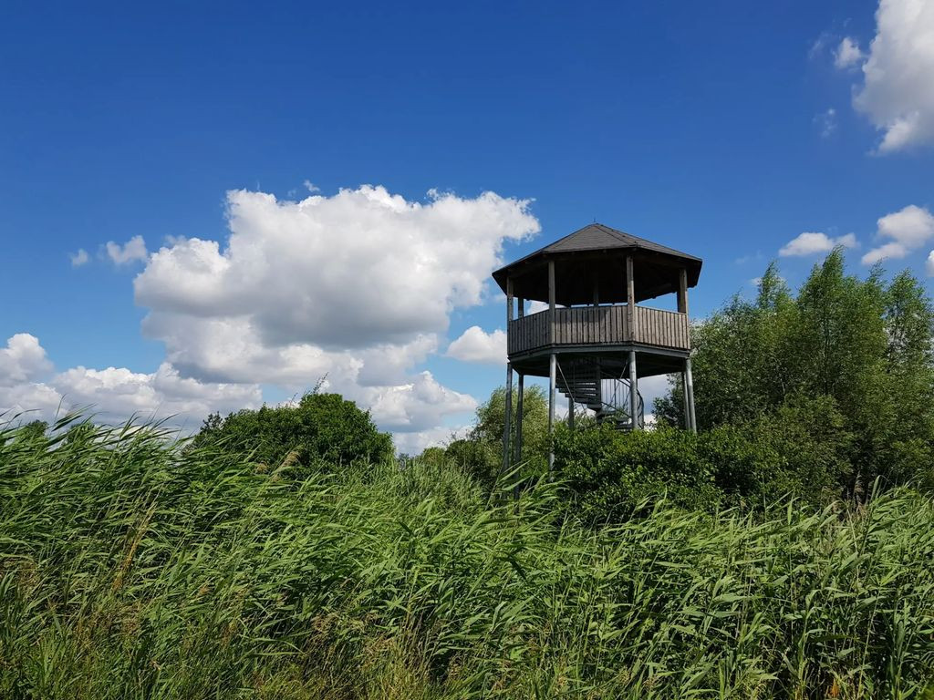 Aussichtsturm am Sichelsee