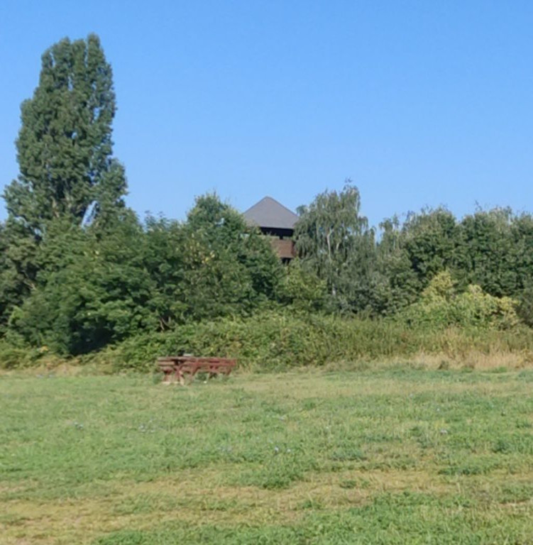 Tower