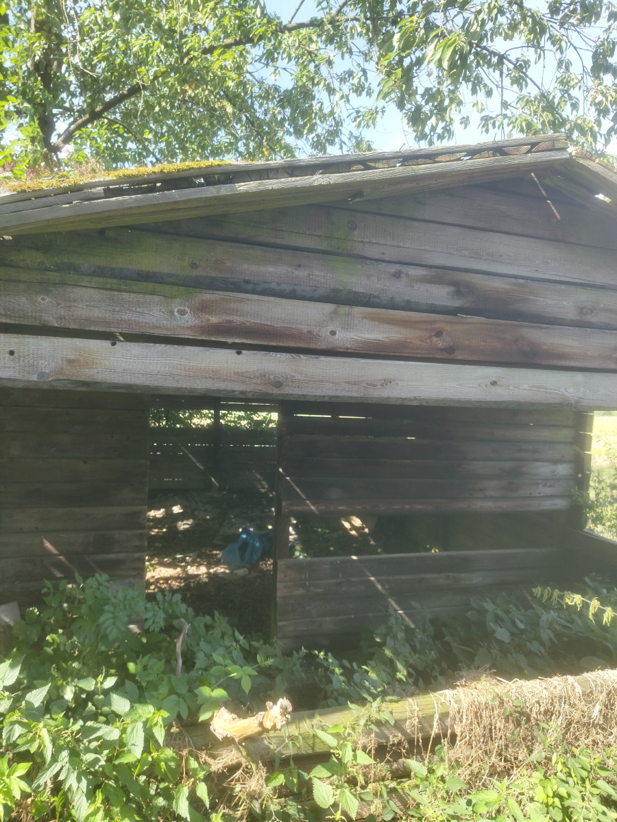 hut