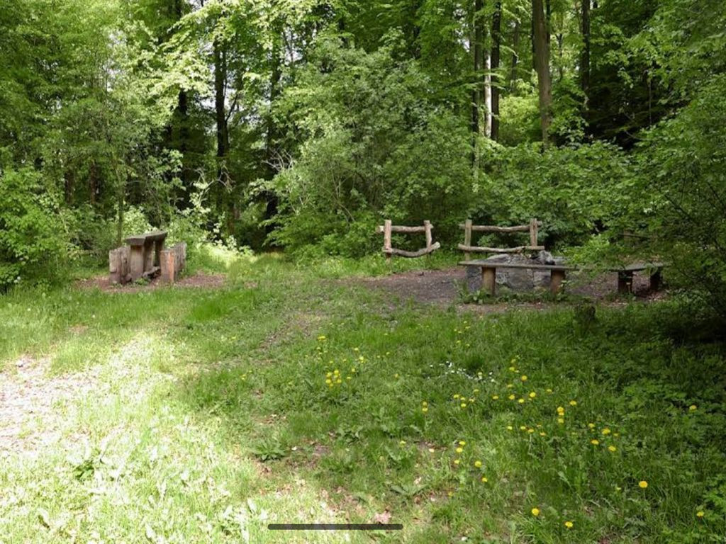 Grillplatz und Hütte am Haselstein