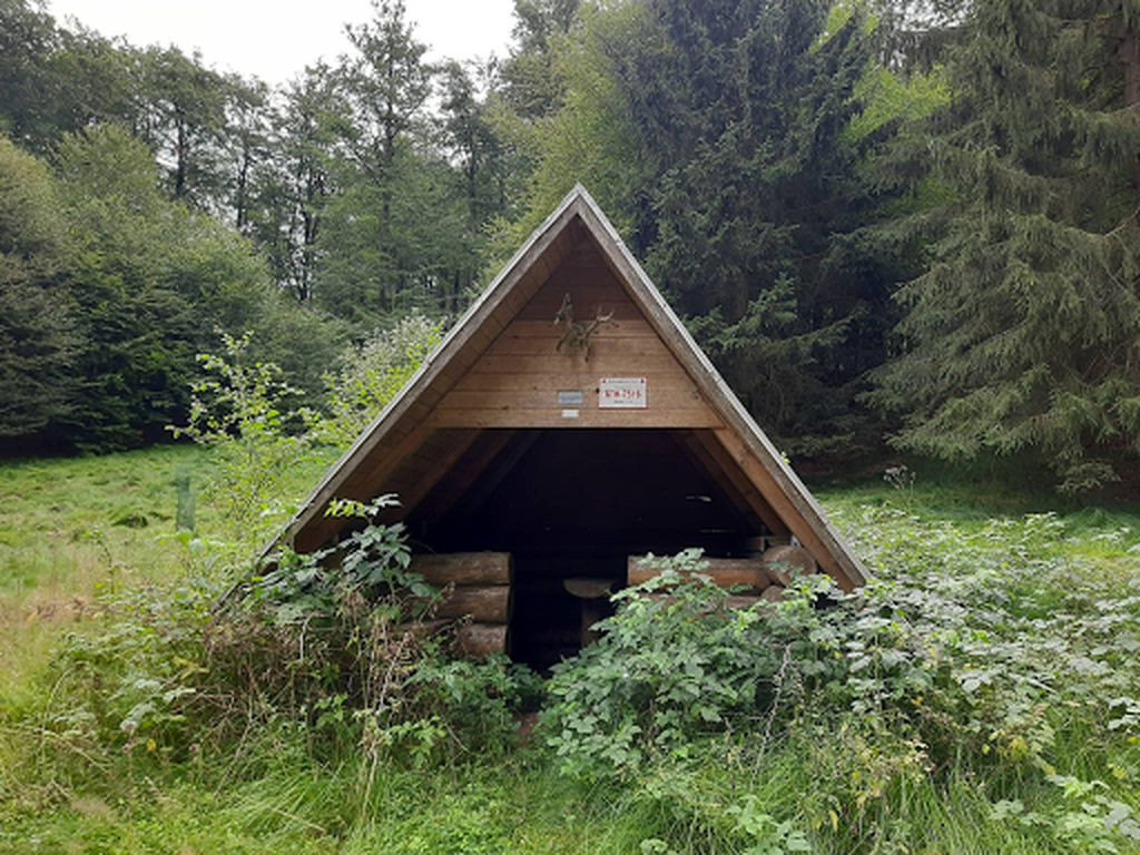 Lean-To "Förster Göring"