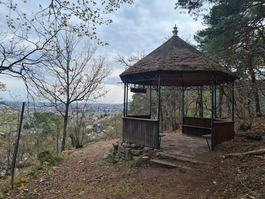 Pavillon Meerspinnblick