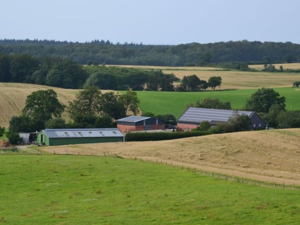 Bivouac Mönchneversdorf - Wildes SH