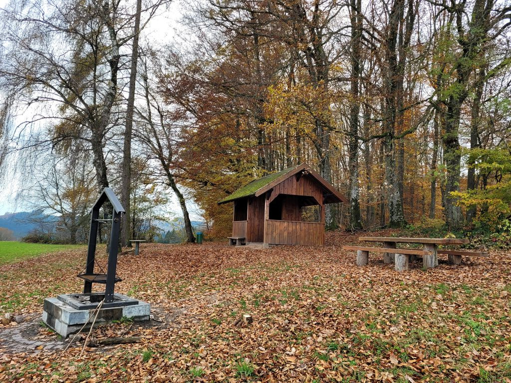 Goldener Kopf