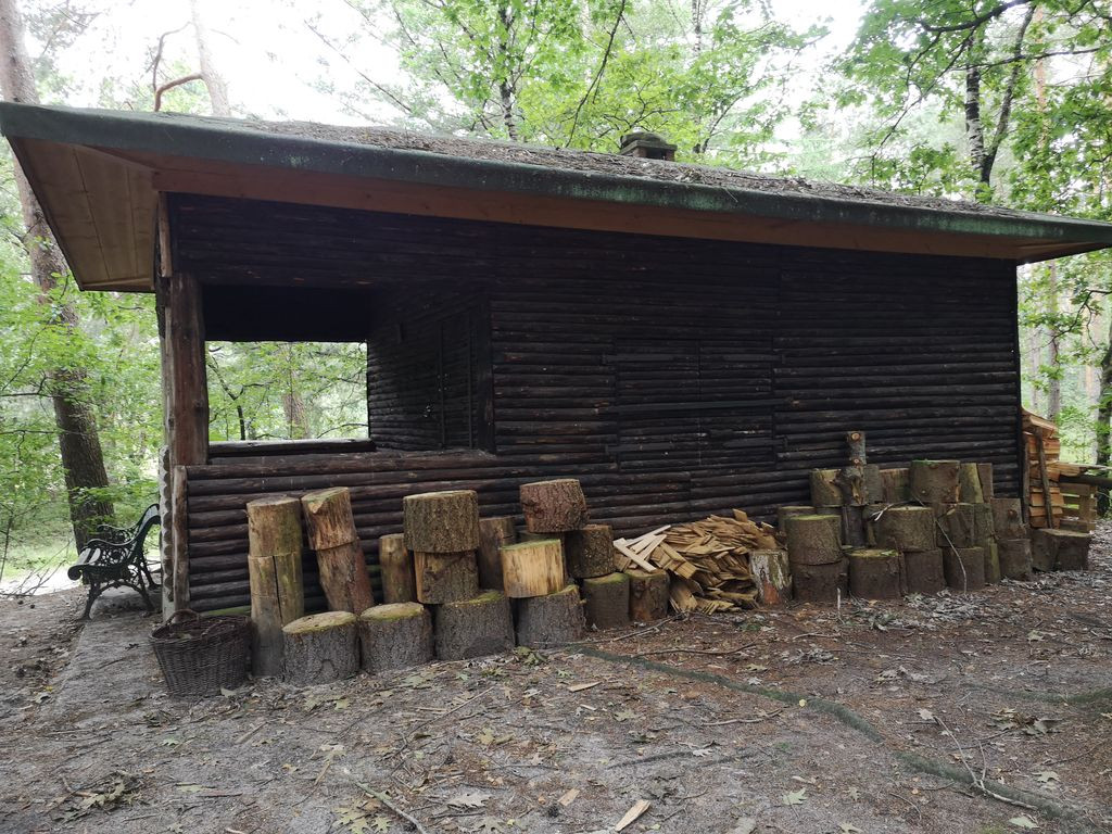 Shelter
