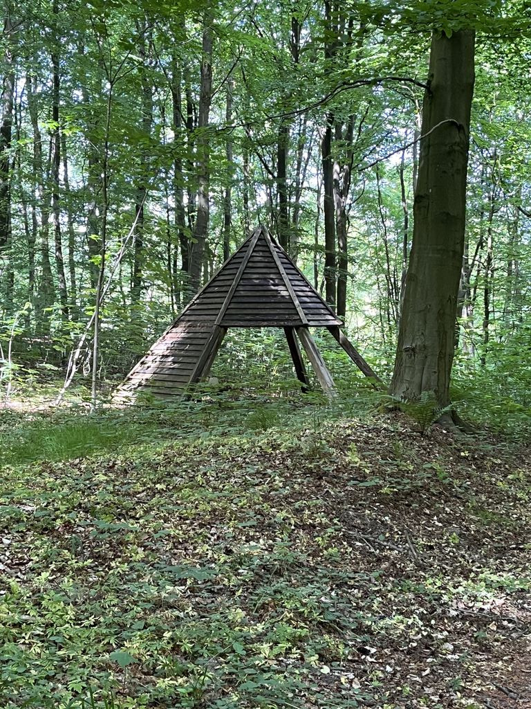 Lunch shelter near Bergenweg