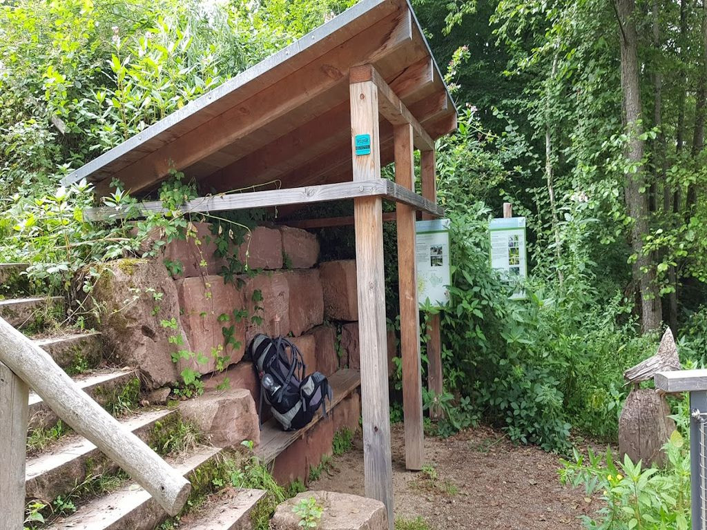 Biber Wasserwelt