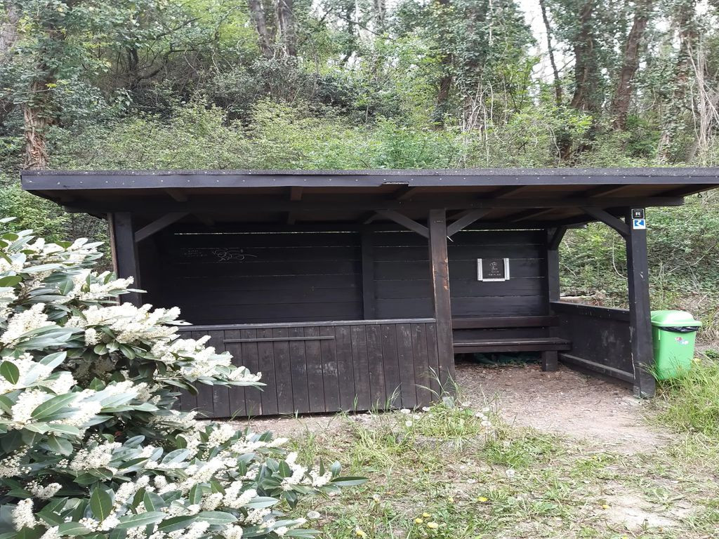 Basic Shelter Rheinblick