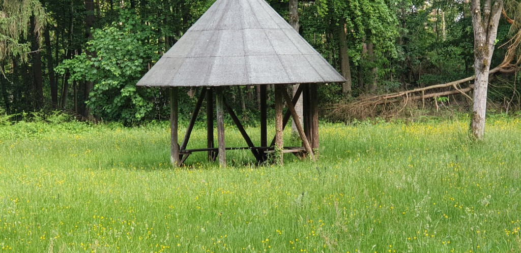 Basic Shelter