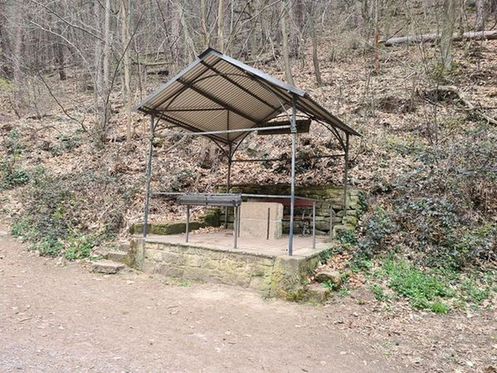 basic shelter