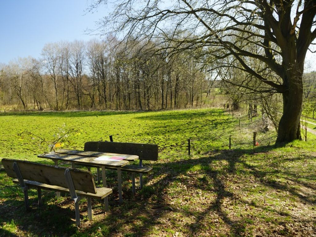 Bivouac Olendieksau - Wildes SH