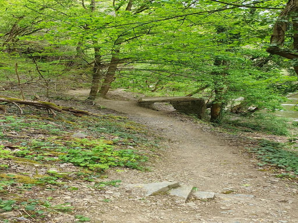 Old blast bunker