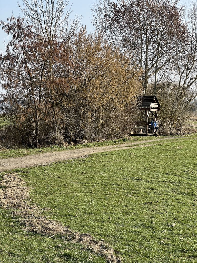 Lunch shelter near Au-Brücke