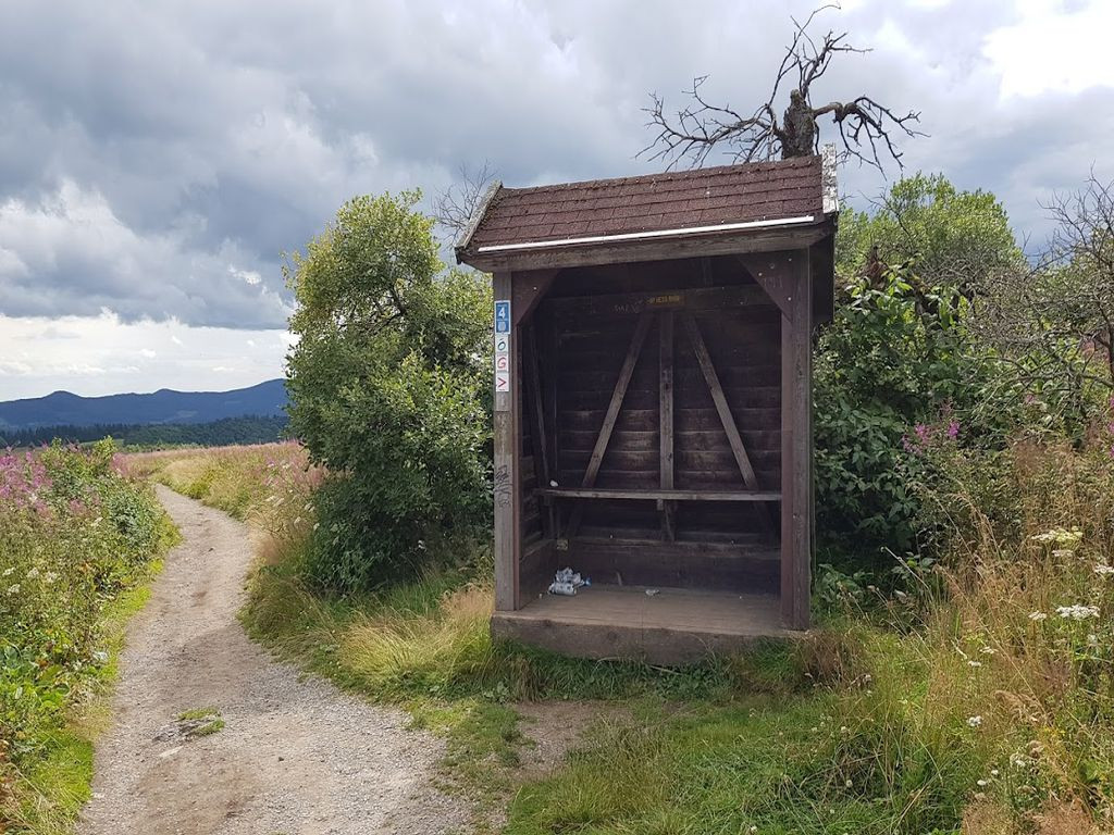 Lean to shelter
