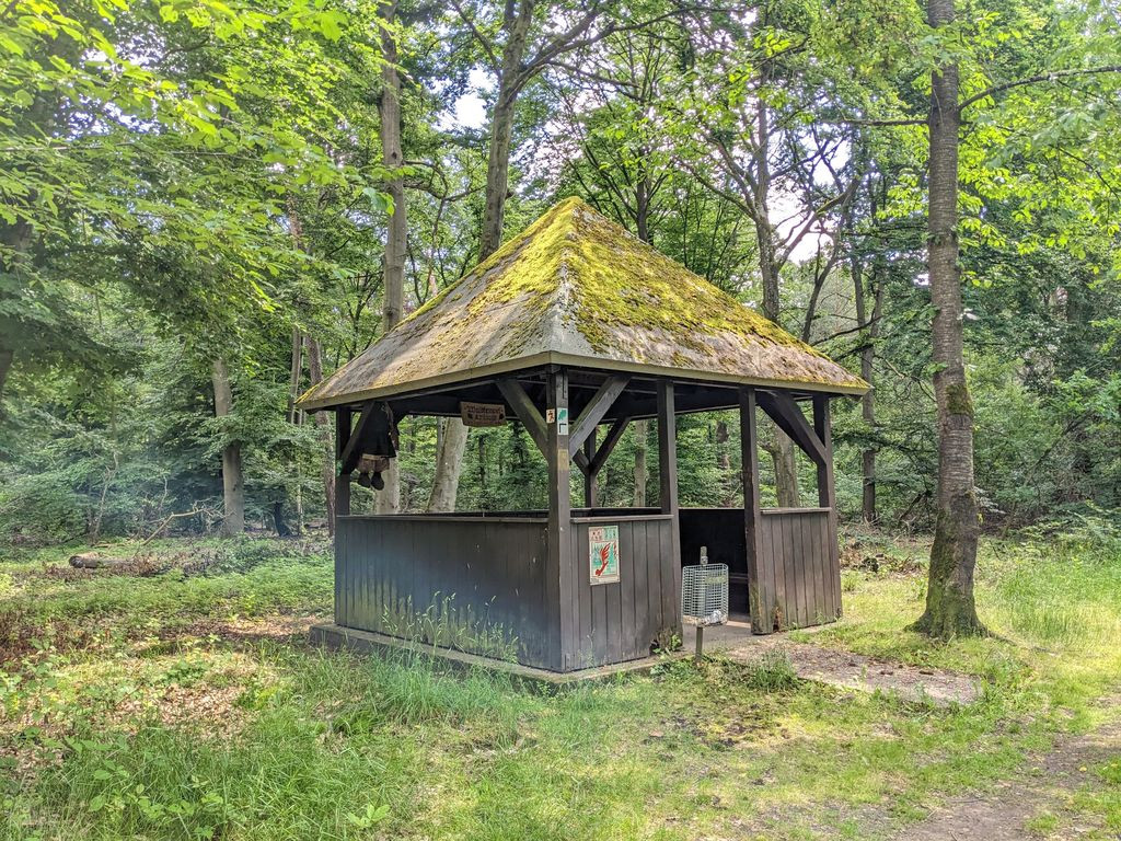 Waldtempel