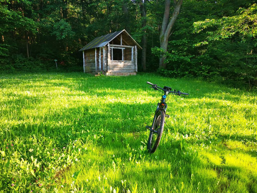 lean-to hut